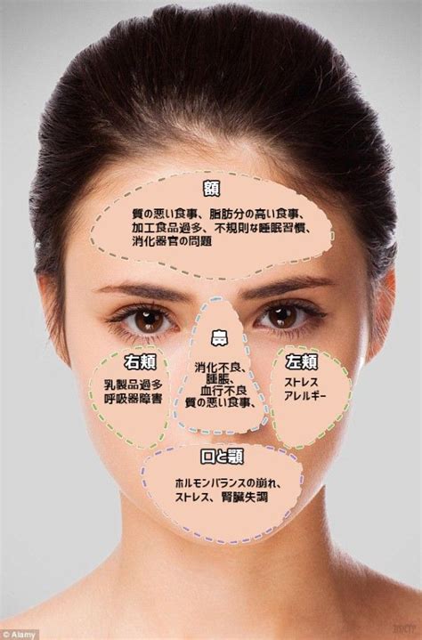 人中部 部位|口周りの形態はいろいろな要素。でもまずいつもの上口唇(人中。